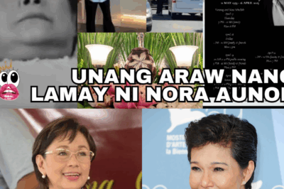 VILMA SANTOS HINDI NAITAGO ang HAGULGOL at MATINDING EMOSYON sa UNANG ARAW ng LAMAY ni NORA AUNOR — MGA SAKSI, NAGULAT sa NAKAKAPANGILABOT na TAGPO, LUMANTAD ang TUNAY na DAMDAMIN ng STAR FOR ALL SEASONS para sa nag-iisang SUPERSTAR, AT ANG MGA KASAMANG ARTISTA at TAGAHANGA ay HINDI MAKAPANIWALA sa DRAMATIKONG PAGSABOG NG EMOSYON na SUMALUBONG sa BUROL!