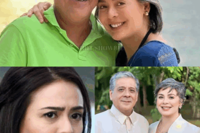 HINDI NATINAG! Dawn Zulueta, Nagbigay ng Matapang na Pahayag: Ang Katotohanan sa Hiwalayan Nila ni SAP Anton Lagdameo Jr.