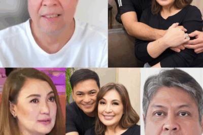 Ang “Dear Heart” Reunion ni Sharon at Gabby, Sinalamin ang Nakakabigla at Sensitibong Hidwaan sa Pamilya Cuneta-Pangilinan: Ang Pagtatapat ni Megastar sa Likod ng Sold-Out na Tagumpay