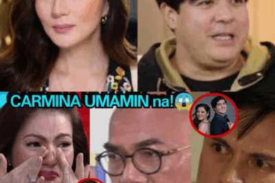 HINDI INAASAHANG PAGBUKING: Carmina Villarroel, Nagsalita Na Tungkol sa Misteryosong Lalaking Muntik Nang Magbuntis sa Kanya, Aga Muhlach, Itinuturo!