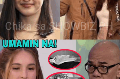 HULING SIGAW BAGO ANG PAGBAGSAK: Ang Madilim na Sikreto at Matinding Pagtatalo sa Bahay nina Billy Crawford at Coleen Garcia na Nagdulot ng Krisis sa Kalusugan