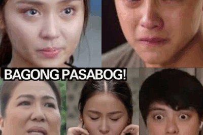 INA NI KATHRYN BERNARDO, NAG-BUNYAG UMANO NG NAKAKAGULANTANG NA SEKRETO: BUNTIS SI KATHRYN SA GITNA NG MAPAIT NA HIWALAYAN NILA NI DANIEL PADILLA?!