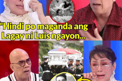 VILMA SANTOS, NAWALAN NG MALAY: ANG MATINDING TRAHEDYA SA PAGKAWALA NI LUIS MANZANO