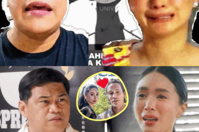 Heart Evangelista, Ibinunyag ang Tunay na Ama ng Kanyang Anak; Chiz Escudero, Nagulat sa Rebelasyon!