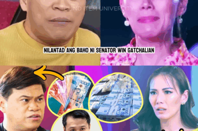 ANG MATINDING PAGLALANTAD: Bianca Manalo, Ibinulgar ang Misteryo sa Likod ng Kayamanan ni Senador Win Gatchalian