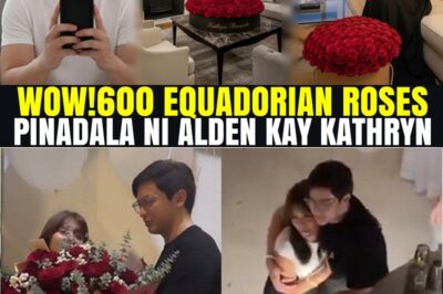 Ang Lihim sa 600 Rosas: Ang Natatanging Ganti ni Alden sa Pandaigdigang Tagumpay ni Kathryn bb