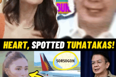 PAGTATAPOS NG KINANG: Heart Evangelista, Tuluyan Nang NILAYASAN ang Showbiz at Lumipat sa Sorsogon Matapos ang HIWALAYAN Kina Chiz Escudero—Isang Masakit na Pagpili sa Gitna ng Emosyonal na Dagok