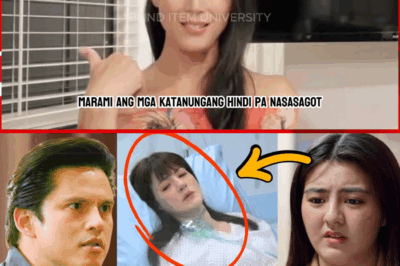 Gumuho ang Ipinagmamalaking Imahe: Si Zoren Legaspi, Arestado at Walang Piyansa; Si Carmina Villarroel, Kritikal ang Kalagayan—Ano ang Tunay na Nangyari sa Loob ng ‘Perpektong’ Pamilya?