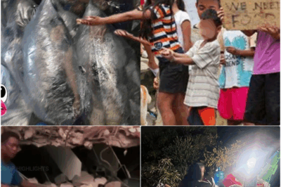 Nakaaantig na Kalbaryo sa Cebu: Mga Survivor ng Lindol, Napilitang Matulog sa ‘Plastic Bag’ sa Gitna ng Ulan Dahil sa Matinding Takot sa Aftershocks