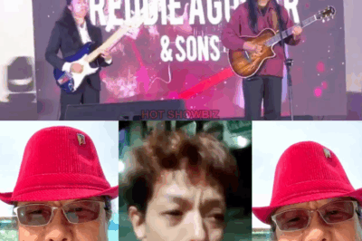 ITIGIL MO NAYAN! Desperadong Panawagan ni Freddie Aguilar sa Anak na si Maegan, Isang Amang Nagmamakaawa sa Harap ng Sambayanan