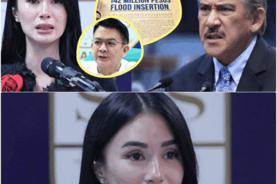 NAGMAMAKAAWA: HEART EVANGELISTA, HUMINGI NG TULONG KAY TITO SOTTO UPANG MAALIS SA ₱142-B FLOOD PROJECT CONTROVERSY; REPUTASYON, NANGANGANIB DAHIL KAY CHIZ ESCUDERO! bb