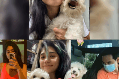 ‘Your Love Makes Life a Little Less Ordinary’: John Lloyd Cruz, Emosyonal na Inilahad ang Malalim na Pag-ibig at Pasasalamat Kay Isabel Santos