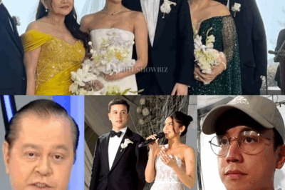 Ang Matalim na Komento ni Noli De Castro Tungkol sa Kasal nina Maine at Arjo, Nagdulot ng Mainit na Batikos: Sino ang Nagkamali?