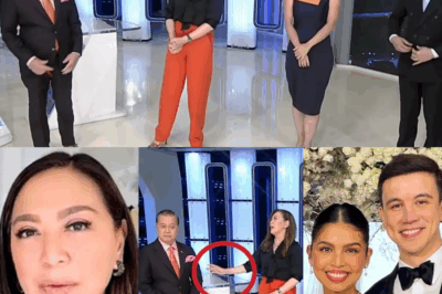 Noli De Castro, Binatikos Dahil sa ‘Insensitive’ na Komento sa Kasal nina Maine at Arjo; Reaksiyon ni Karen Davila, Nagpabigat sa On-Air Tension