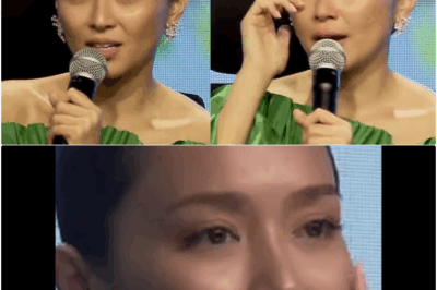 💥Ang Nakakaiyak na Pagbubunyag ni Kathryn Bernardo Tungkol sa “Live-In” na mga Alingawngaw ay Umalis sa Buong Pilipinas sa Sh0ck! bb