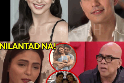 ANG KATOTOHANAN SA LIKOD NG PAGHIHIWALAY: Lovi Poe, Isinapubliko ang Anak Nila ni Tom Rodriguez at Hinarap ang Matinding Kontrobersiya!