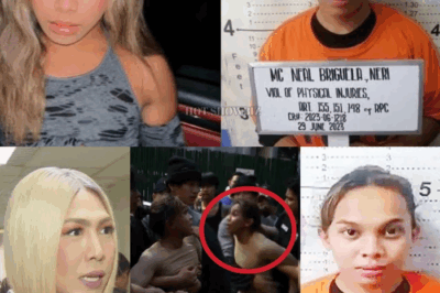 Ang Hindi Natapos na Pag-ibig: Sa Gitna ng Eskandalo, Ibinunyag ni Vice Ganda ang Matinding Hiling ng Ama ni Awra Briguela at ang Sikreto ng Kaniyang Pagbangon