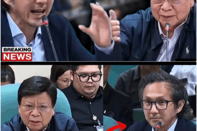 “TABA NG BUDGET” BINULGAR! Umuusok ang Senado sa Isyu ng Flood Control Funds ng DPWH — MARCOLETA, MATINDING SINUPALPAL si VINCE DIZON sa HARAPAN ng LAHAT! bb