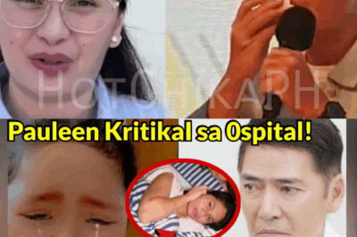 HULING HILING! PAULEEN LUNA, HINIMATAY SA KORTE DAHIL SA MATINDING STRESS; NAGMAMAKAAWA KAY VIC SOTTO NA PATWARIN AT BUUIN MULI ANG PAMILYA