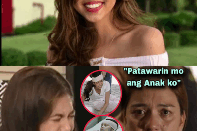 Hustisya para kay Maine: Ang Madilim na Lihim ng Pagkakanulo na Muntik Kumitil sa Buhay ni Maine Mendoza