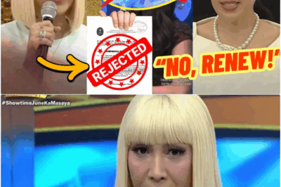 MATINDING REBELASYON! Vice Ganda, tuluyan nang bumasag sa katahimikan at isinapubliko ang matinding “demolition job” at maselang alitan sa pera na siyang totoong dahilan ng emosyonal na pag-alis ng It’s Showtime sa Kapuso network! bb