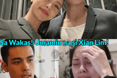 ANG MAPAIT NA KATOTOHANAN: Third Party, Susi sa Hiwalayan nina Kim Chiu at Xian Lim—12 Taon, Nagwakas sa Gitna ng Pananahimik