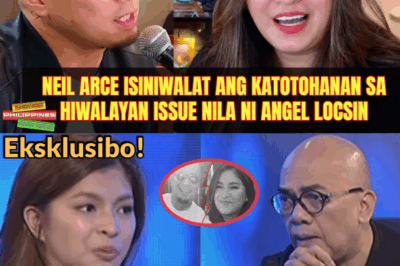 ANG LIHIM NA TINIG NI DARNA: Angel Locsin, ISINIWALAT Ang Matinding Dahilan sa Likod ng Krisis at Mga Bulong-Bulungan sa Kanyang Pagsasama Kay Neil Arce