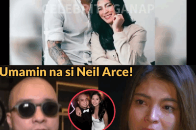 HIWALAYAN? Neil Arce, NAGSALITA na! ‘DONASYON’ NILA ang KITA ng mga NAGPAKALAT ng FAKE NEWS at Deserve Daw ng Subscribers ang Kasinungalingan