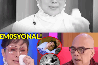 Vilma Santos, Umiiyak: ‘Itinatagong Sakit’ ni Luis Manzano, Nag-Trigger Dahil sa Pagkabigo sa Pulitika