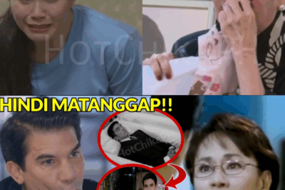 PAGSISI NI EDU MANZANO KAY VILMA SANTOS: Ang Pulitika Ba ang Nagpabagsak kay Luis Dahil sa Lihim na Sakit?