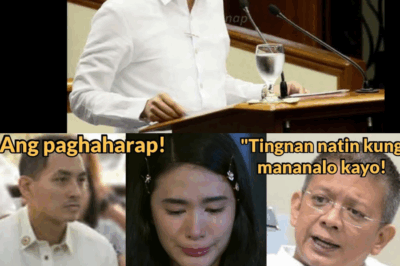Ang Lihim sa Pagbabalik ng Pag-ibig: Heart Evangelista, Ibinunyag ang Puno’t Dulo ng Muntik Nang Hiwalayan kay Chiz Escudero!