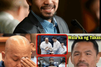 TAGUMPAY NG KATARUNGAN: Hukuman, Pinaboran si Manny Pacquiao Laban kay Senador Bato Dela Rosa sa Kaso ng Pang-aabuso; Liderato ni Bato, Nakasalalay sa Apela