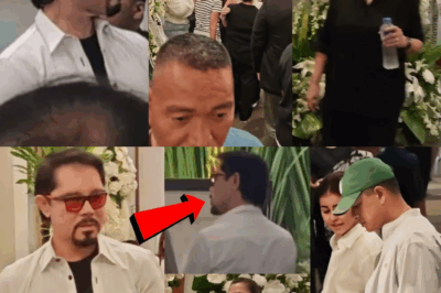 Christopher De Leon, Gumuho sa Tindi ng Emoasyon sa Huling Paalam kay Nora Aunor; Mga Anak, Nagsilbing Lakas sa Gitna ng Pagdadalamhati