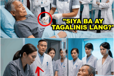 Bilyonaryo Muntik Nang Malason, Iniligtas ng Tagalinis na Nagtatagong Chemistry Genius: Ang Tagumpay ng Obserbasyon Laban sa Arogansya ng Eksperto bb