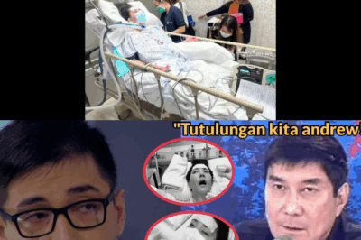 KAPABAYAAN NG DOKTOR: Ang Desperadong Panawagan ni Andrew Schimmer para sa Biyaya at Hustisya Matapos Pumutok ang Kwento ng ‘Medical Negligence’ sa Kanyang Asawa