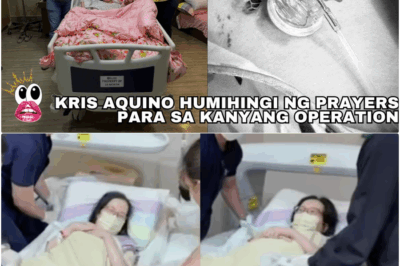 Kris Aquino, Humingi ng Panalangin Bago Sumalang sa Dalawang Operasyon; Ex-Lover na Umalis Nang Lumala ang Sakit, Biglang Nagbalik para Mag-apology bb