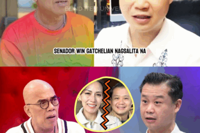 ANG SAKIT NA KATOTOHANAN: SENADOR WIN GATCHALIAN, NAGSALITA NA HINGGIL SA HIWALAYAN NILA NI BIANCA MANALO, ITINANGGI ANG THIRD PARTY, PERO ITO ANG TUNAY NA DAHILAN