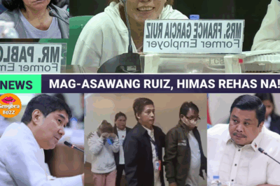 AMO NI ELVIE VERGARA, IPINAKULONG! SENADOR UMALMA SA WALANG-HIYANG PAGSISINUNGALING HINGGIL SA MALTRATO SA KASAMBAHAY