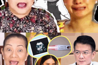 CHIZ ESCUDERO, MARIING TINULDUKAN ANG USAP-USAPAN: “HINDI AKO ANG AMA!”—MISTERYO SA PAGBUBUNTIS UMANO NI HEART EVANGELISTA, LALONG LUMALALIM!