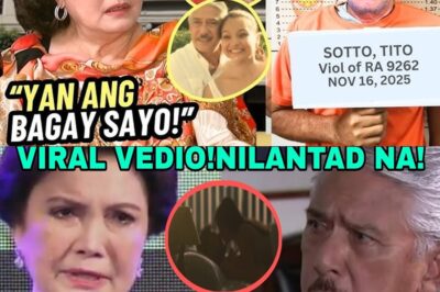 Ang Pagguho ng Tiniis na Katahimikan: Emosyonal na Pagsasabog ni Helen Gamboa, Inilantad ang Ebidensya Laban sa Isang Dekadang Alegasyon ng Pagtataksil ni Tito Sotto bb