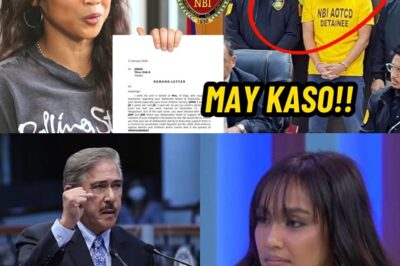 HINDI LANG IYON RESPETO, IYON AY TAKOT: Ang Matapang na Pagbunyag ni Rochelle Pangilinan Laban sa Pang-aabuso at Impluwensya, Nagsimula ng Senate Ethics at COMELEC Probe bb