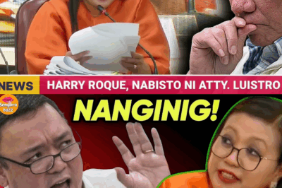 ₱67 MILYON SA BANGKO, MISTERYOSONG PAGLIPAT NG SHARES, AT POGO CONNECTION: Harry Roque, Binusisi sa Kongreso Dahil sa Di-Mawaring Yaman at Kaso ng Lucky South 99