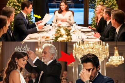 NAKAKAGULAT NA TAGUMPAY: Iyak sa Christmas Dinner, Susi sa Billion-Dollar na Amana! Ang Asawang Binalewala, Nagbalik Bilang Bilyonaryong Heir at Nagpabagsak sa Conspiracy ng Kanyang Asawa! bb