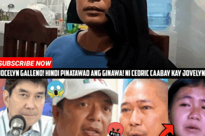 BUMULAGTA! ‘ALAGAD’ NI RICHARD LIGAD, UMAMIN SA PULONG NG PAMILYANG GALLENO! TRAYDOR SA BATAS, NAKALALIM NA JUETISYA SA PALAWAN, BISTADO NA!