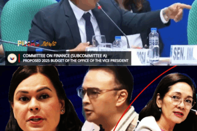 “Hindi Ako Plastic!” VP Sara Duterte, Walang Kimi na Ibinulalas ang Panggigipit sa Gitna ng Budget Hearing; Isiniwalat ang “Targeted List” at Pagtanggal sa Kanyang Security Detail