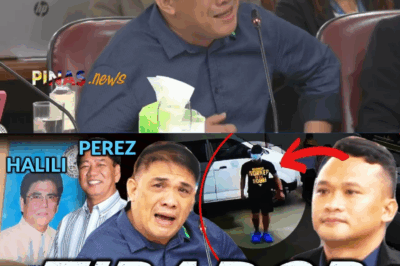 PANGONGSESO: Isang Grupo ng PNP, Itinuturong Nag-ugnay sa Asasinasyon Kina Mayor Perez at Mayor Halili; Ex-Konsehal ng Los Baños, Biktima ng ‘Frame-up’ at Pagbalangkas ng Ebidensiya!