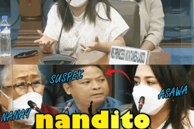 ANG MAPAIT NA AKUSASYON: ASWANG NG NAWAWALANG SABUNGERO, ITINURO BILANG LIDER NG PAGDUKOT SA SARILI NIYANG MISTER SA GITNA NG SENATE HEARING