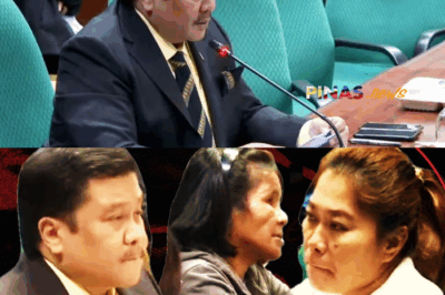 Ang Nakakabulag na Pagpapahirap: Paano Ginawang Impiyerno ang Buhay ng Isang Kasambahay Gamit ang Martilyo at Sili