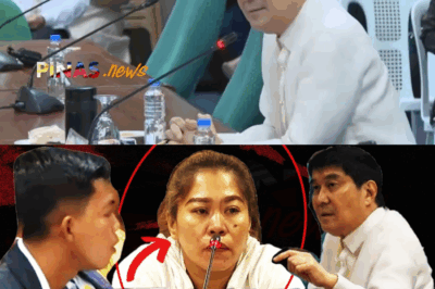 Lalong Bumigat ang Puno ng Kalupitan: Siling Dinikdik at Suntok sa Freezer, Inilatag ng Dating Trabahador sa Kasong Pang-aabuso kay Manang Elvie