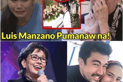 HAGULHOL NI JESSY AT APELA NI VILMA: Pambansang Pagkabigla sa Rumor ng Pagpanaw ni Luis Manzano—Ang Lihim na Karamdaman na Nagpabagsak sa Showbiz Royalty